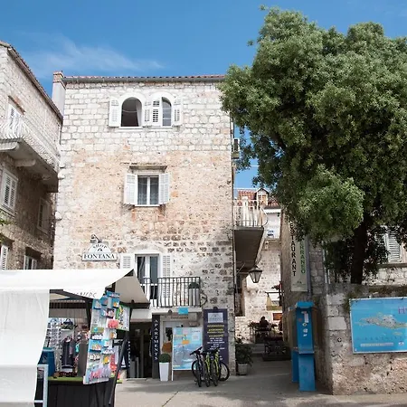 Old Town Hvar 公寓